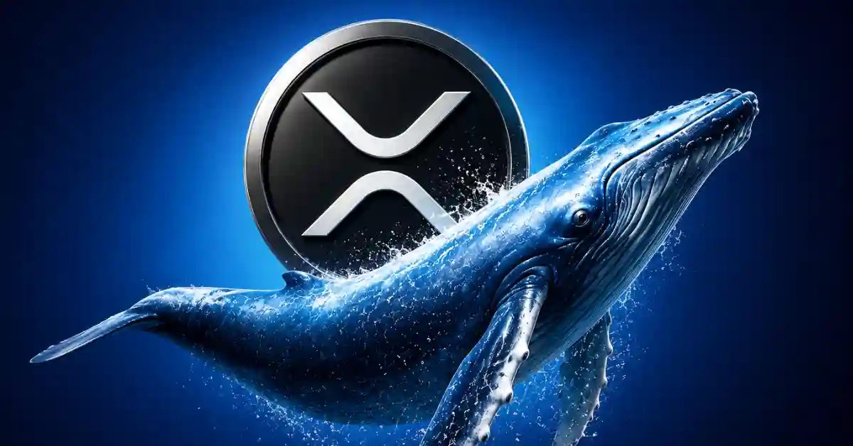 Spot XRP ETFs Record Largest Outflow Since March